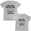 Worlds-Best-Dad-&-Son-Awesome-Combo-T-Shirt-Grey