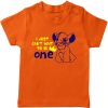 lion king birthday tshirt orange